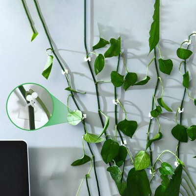 Tidy Up Household Wall Mount Hook Decorative Self Adhesive Hanger Plastic Plant Wall Hook